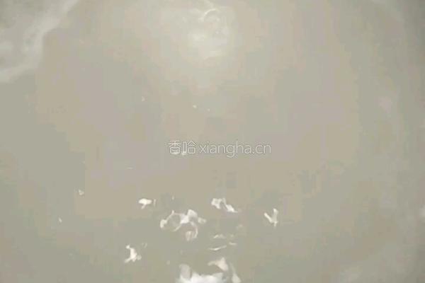 香菇鸡肉粥的做法图解7