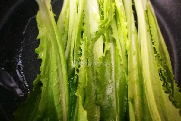 素扒油麦菜的做法图解5