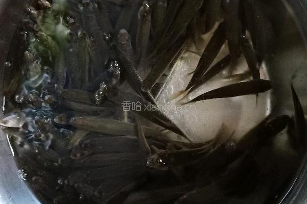 酱炖麦穗鱼的做法图解1
