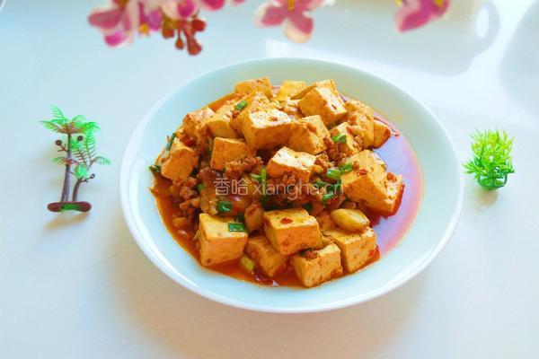 新文美食 肉末豆腐