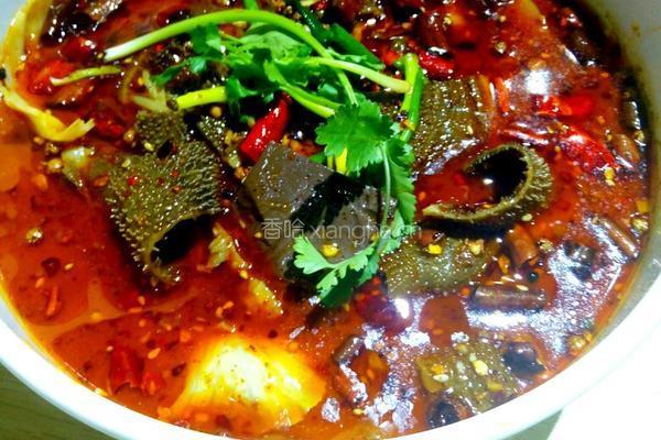 麻辣毛血旺的做法图解14