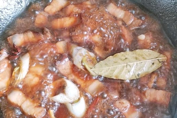 经典红烧肉的做法图解10