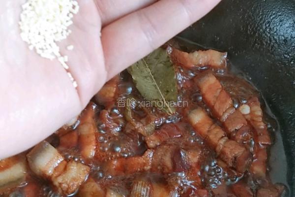经典红烧肉的做法图解12