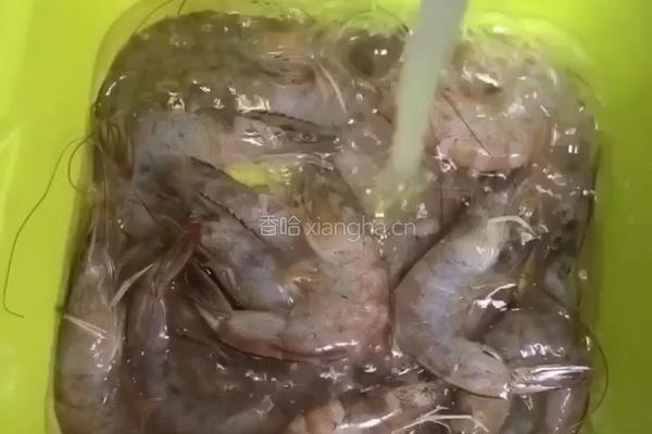 白灼明虾的做法图解1