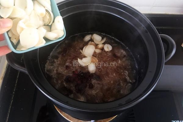 燕窝桃胶银耳糖水的做法图解7