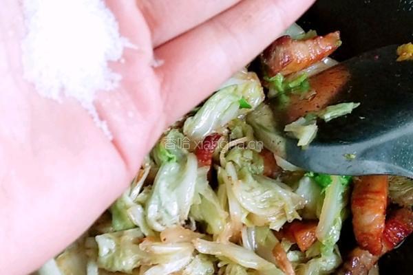 五花肉炒白菜的做法图解6