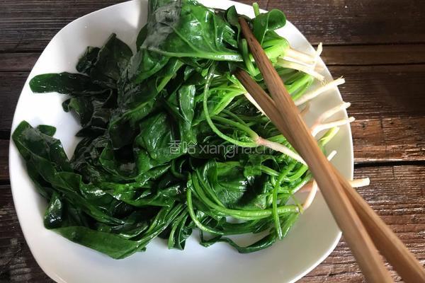 红嘴绿鹦哥的做法图解5