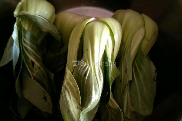 青菜香菇猪肉包的做法图解1