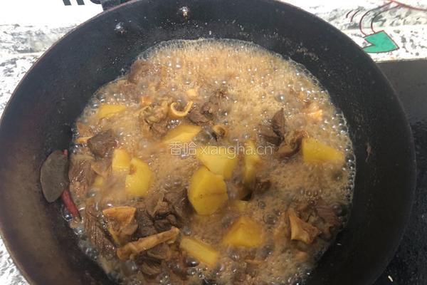 土豆牛腩的做法图解14