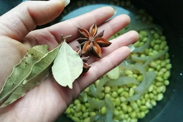 黄豆肉皮冻～胶原蛋白与植物蛋白的强强联合的做法图解6