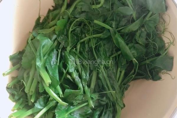 豌豆尖香菇酱拌面（香哈香菇酱）的做法图解3
