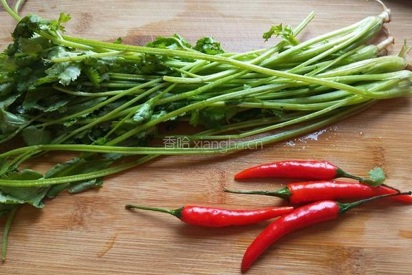 新文美食 白萝卜香辣凉拌菜的做法图解6