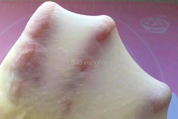 原味土司的做法图解5