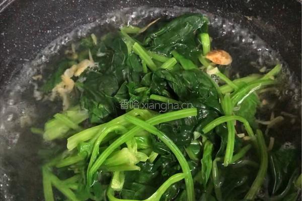 皮蛋虾皮菠菜汤的做法图解5