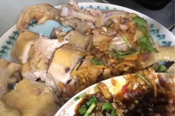 粤式红葱头淋鸡的做法图解10
