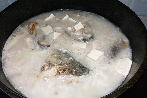 鲤鱼豆腐汤的做法图解4