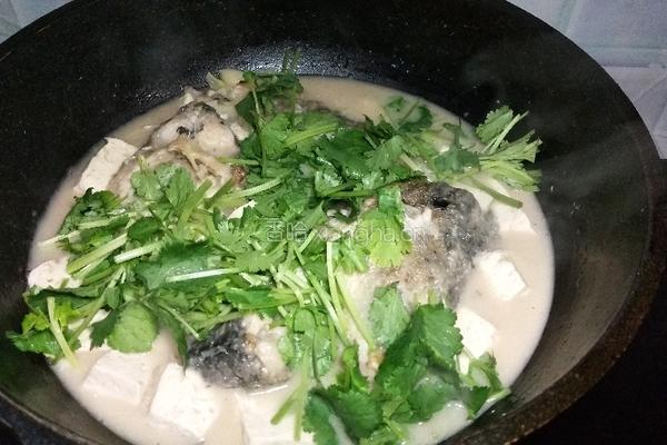 鲤鱼豆腐汤的做法图解5
