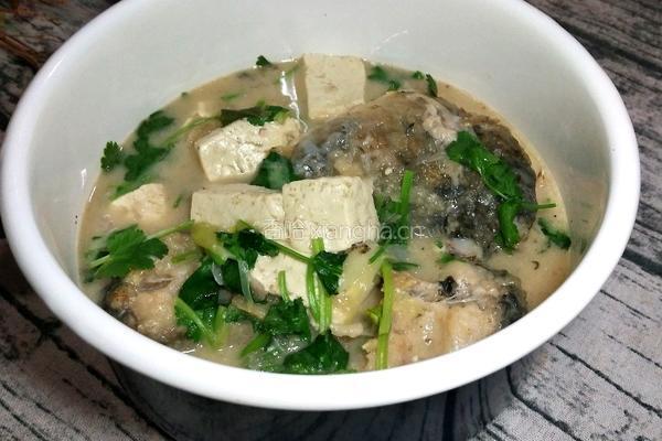 鲤鱼豆腐汤的做法图解6