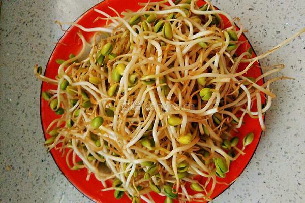 素炒豆芽的做法图解1