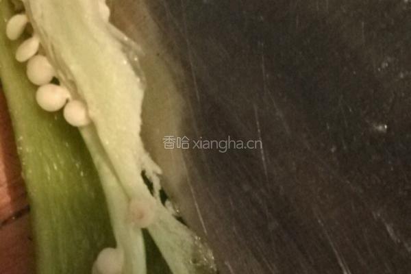 姜汁松花蛋的做法图解2