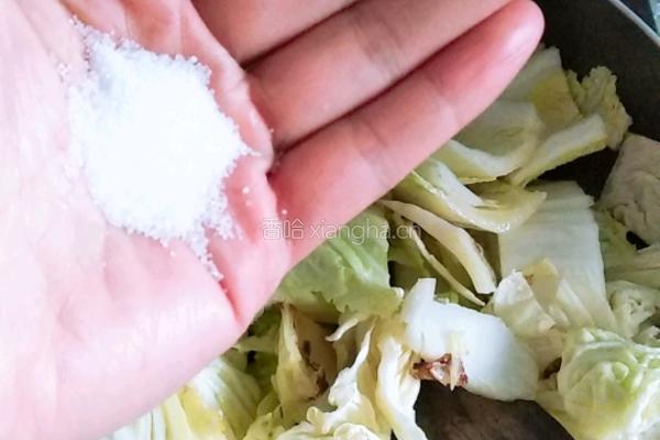 孜然白菜的做法图解4