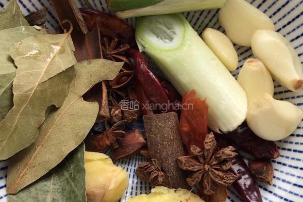 红焖牛肉的做法图解3