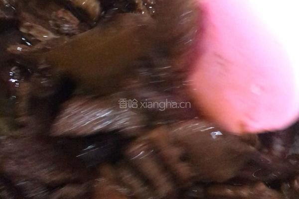 红焖牛肉的做法图解11