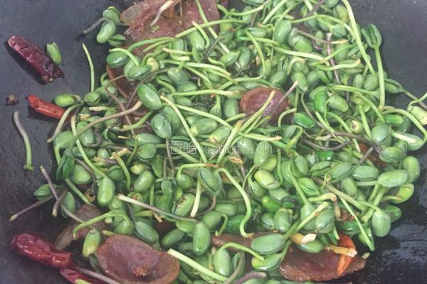 腊肠炒豆芽的做法图解8
