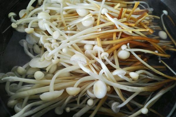 凉拌金针菇的做法图解4