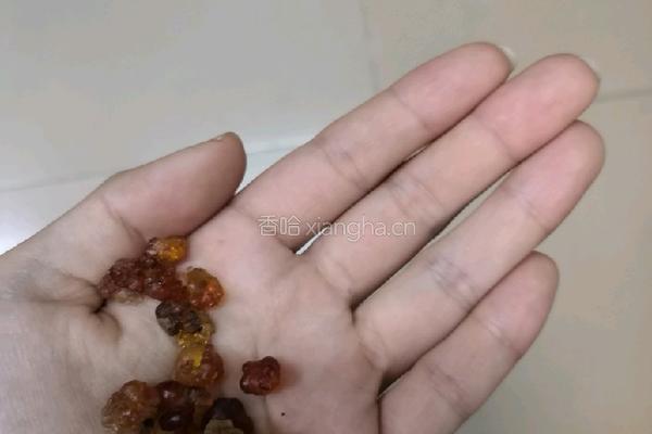 下午茶 桃胶银耳桂花露（一人份） 的做法图解1