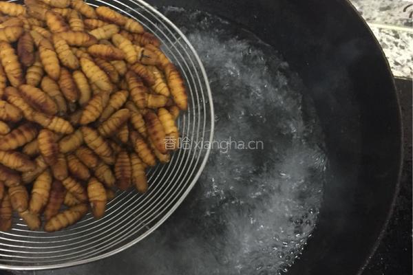 辣炒蛹的做法图解3