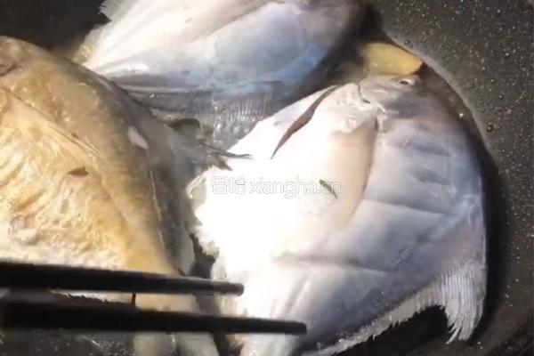 香煎白仓鱼的做法图解5