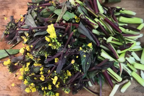 清炒菜苔的做法图解2