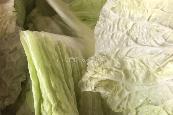 白菜酿肉的做法图解2
