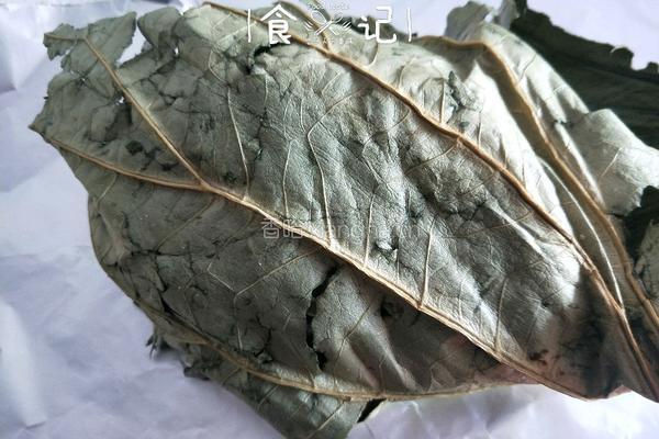 荷叶鸡的做法图解8