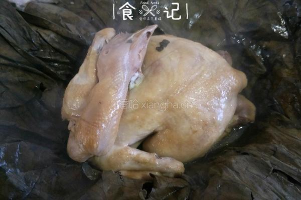 荷叶鸡的做法图解14