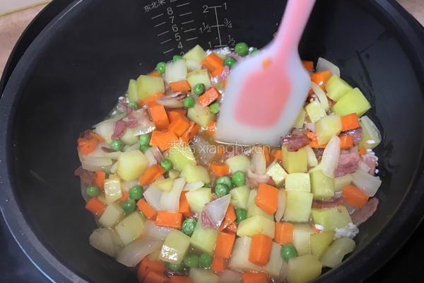 胡萝卜土豆焖饭的做法图解11