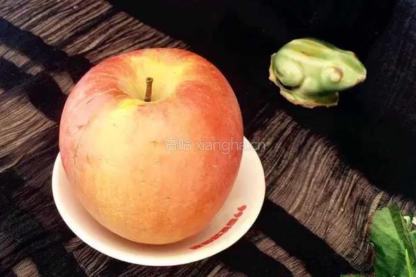 （下午茶）脆皮苹果圈的做法图解2