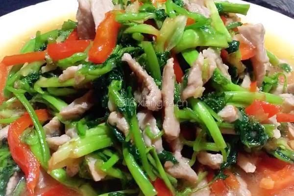 野芹炒肉丝的做法图解14