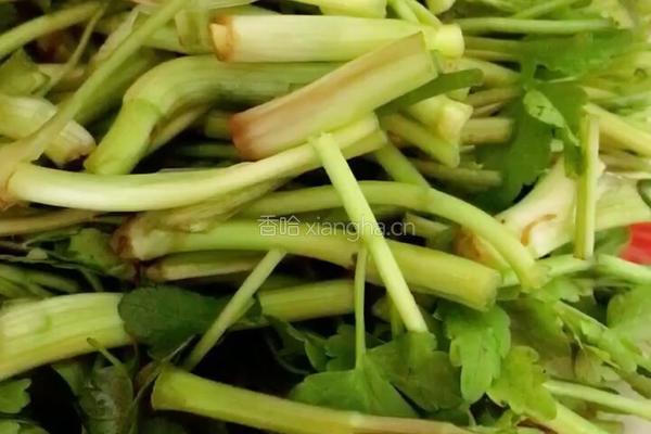 野芹炒肉丝的做法图解1