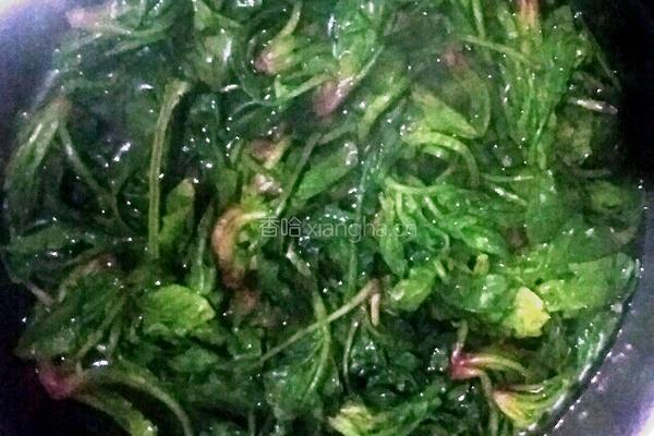 麻辣油拌菠菜的做法图解2