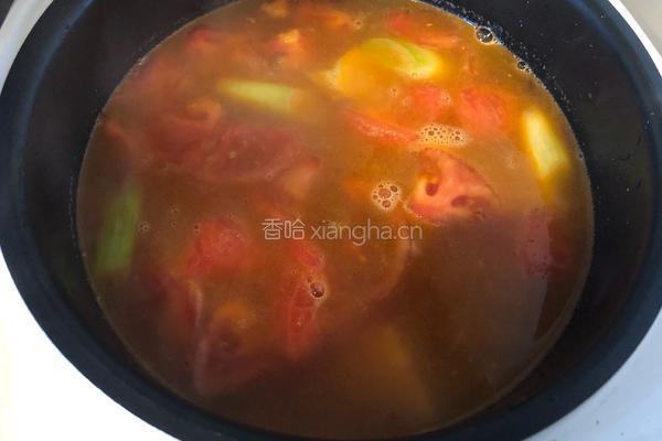 番茄土豆牛腩的做法图解12