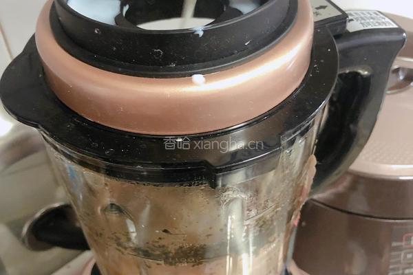  熬制新疆特色奶茶（附上奶皮）的做法图解6
