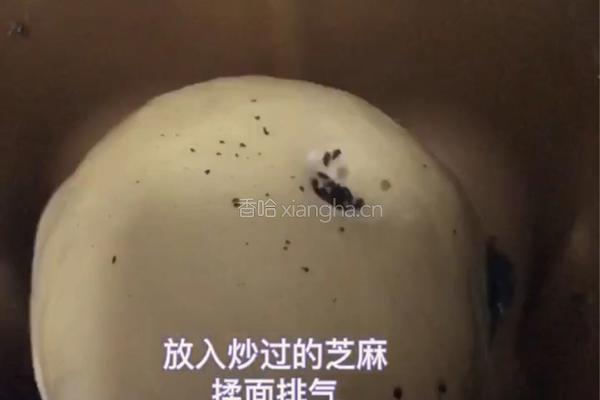#下午茶#黑芝麻豆沙吐司的做法图解3