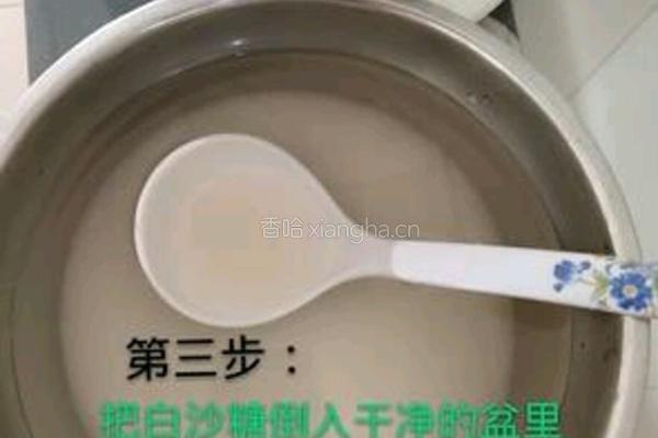 火龙果酵素的做法图解4