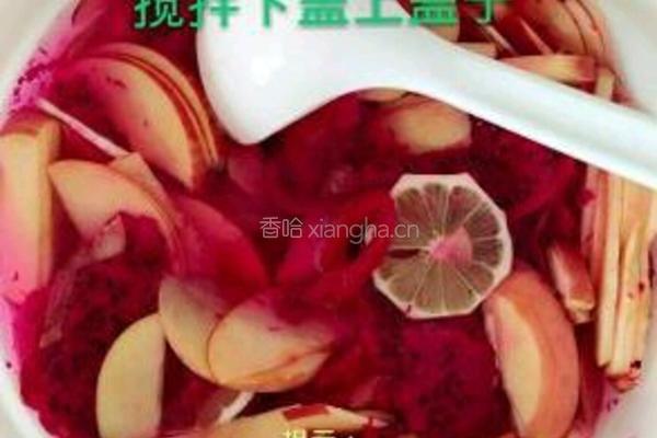 火龙果酵素的做法图解5