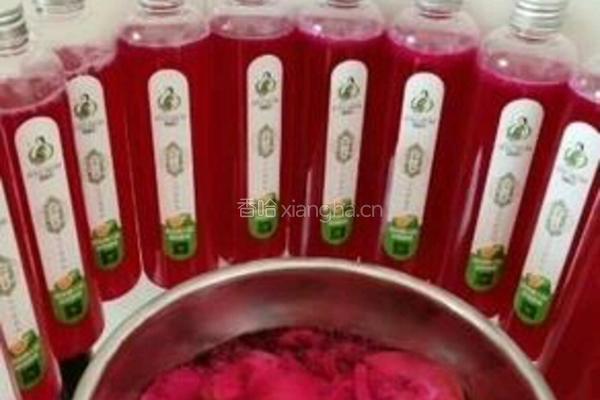 火龙果酵素的做法图解6