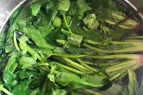 菜卷的做法图解4