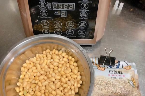  各式营养豆浆/米糊（配多款食谱）的做法图解13