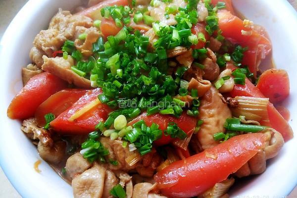 胡萝卜煲肥肠的做法图解13
